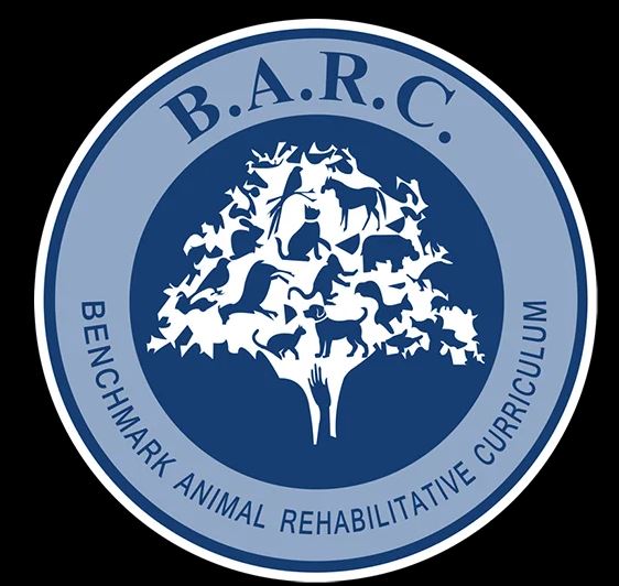 external_image external_image