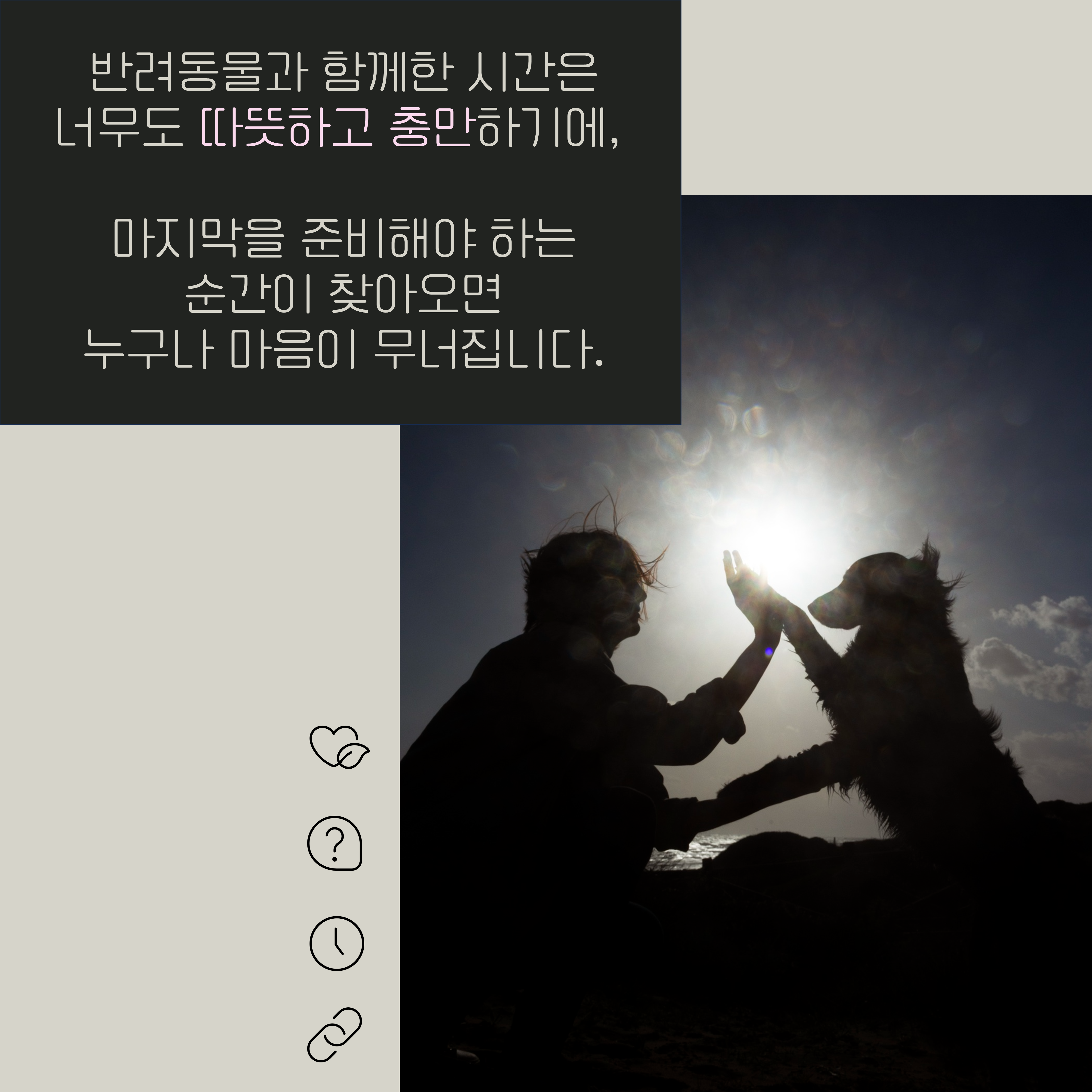반려동물과 함깨한 시간은 너무도 따뜻하고 충만하기에, 마지막을 준비해야 하는 순간이 찾아오면 누구나 마음이 무너집니다.