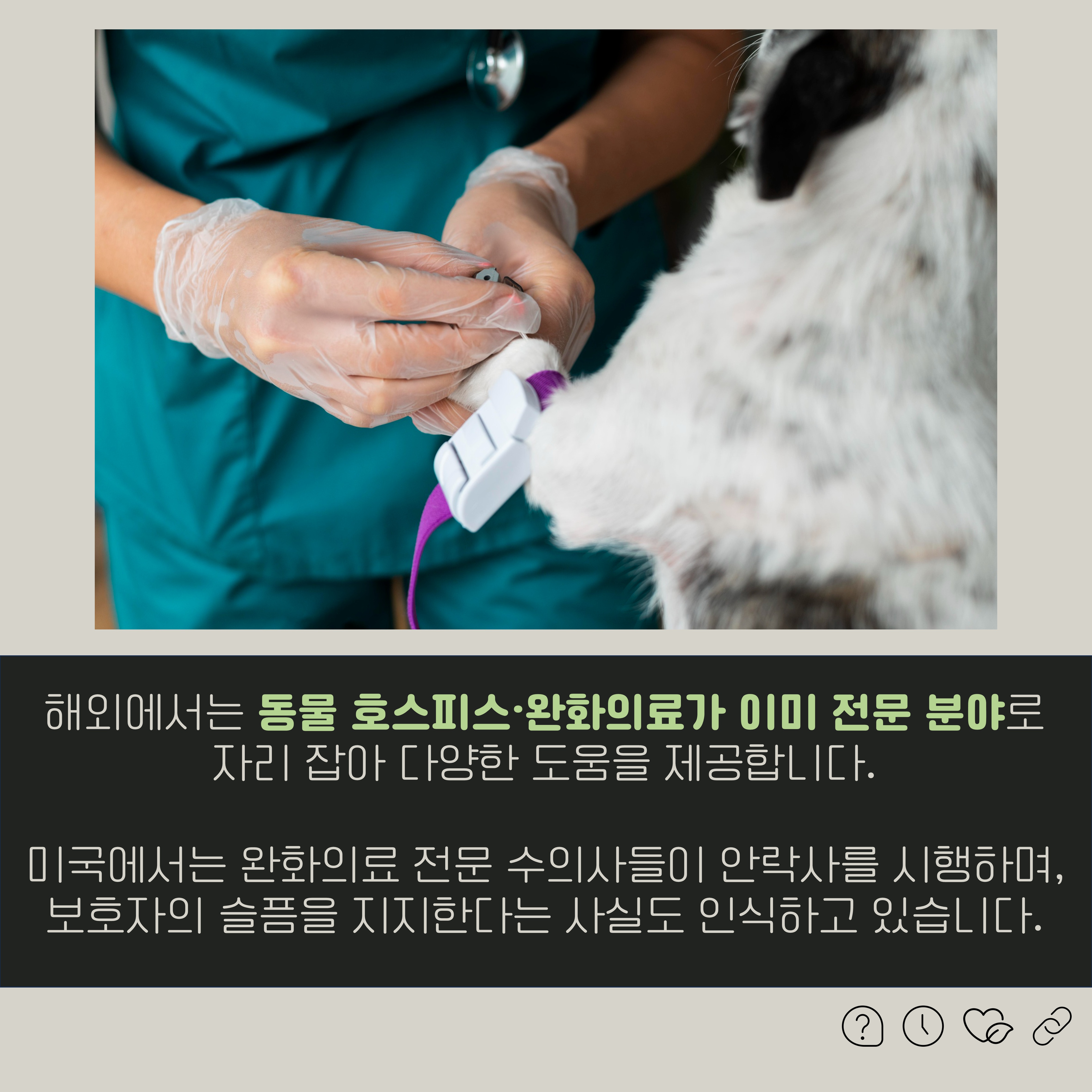 해외에서는 동물 호스피스·완화의료가 이미 전분 분야로 자리 잡아 다양한 도움을 제공합니다. 미국에서는 완화의료 전문 수의사들이 안락사를 시행하며, 보호자의 슬픔을 지지한다는 사실도 인식하고 있습니다.